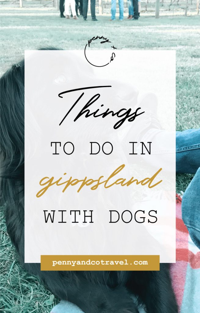 things to do in gippsland with dogs