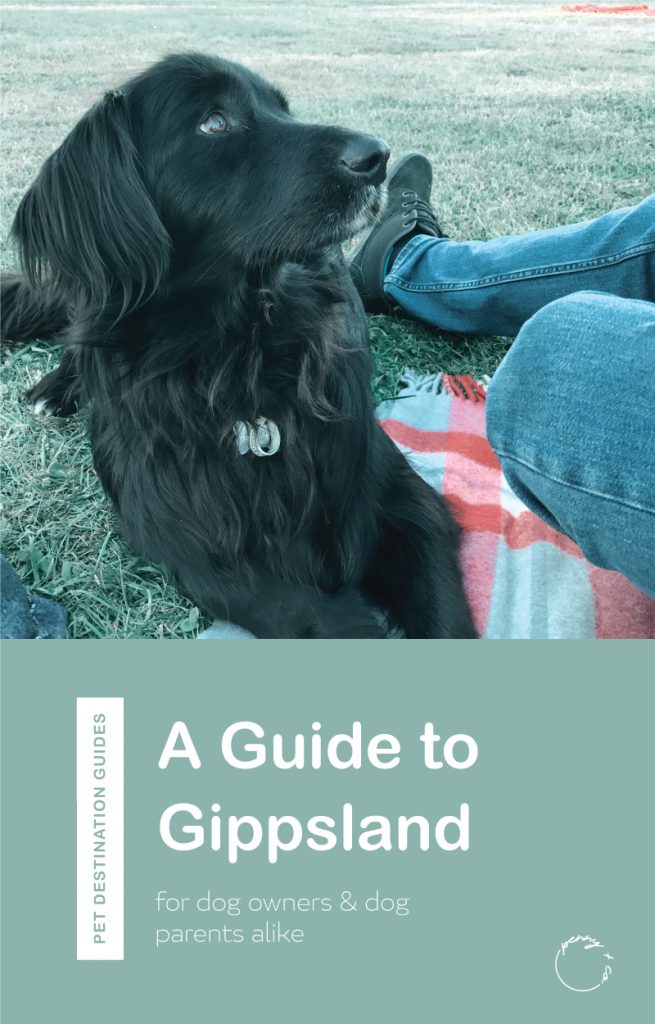 A guide to Gippsland for dog owners